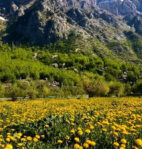 Holiday home Jezerca