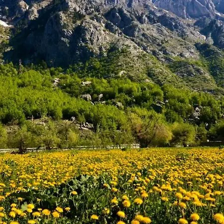 Tatil Evi Jezerca